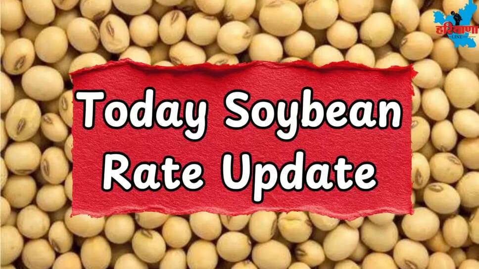 Soybeans sold today from 3960 to 5150 rupees in Neemuch