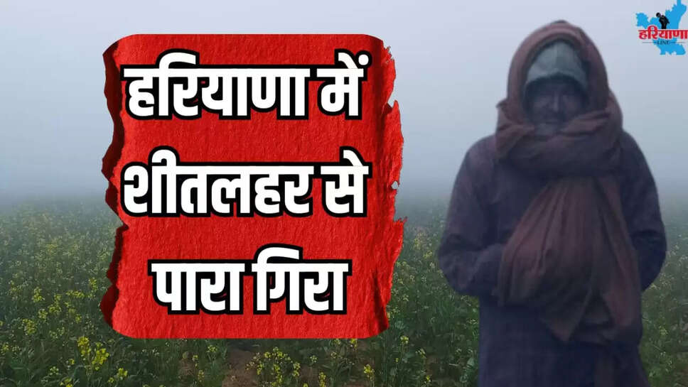The cold wave caused temperatures drop in Haryana