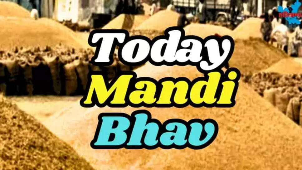 TODAY MANDI BHAV