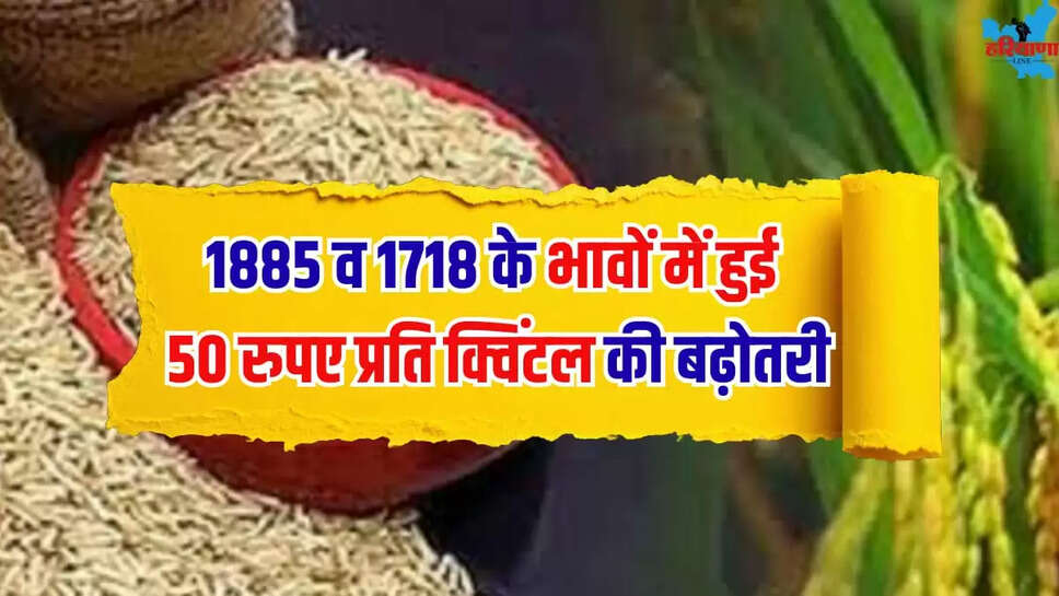 Prices rice variety 1885 1718 increase 50 rupees per quintal