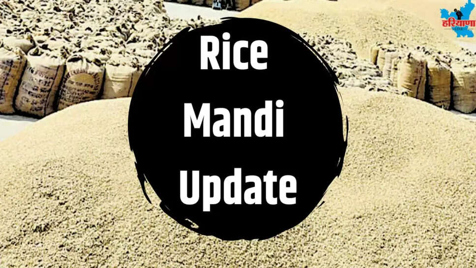 Uchana Mandi Rice Update