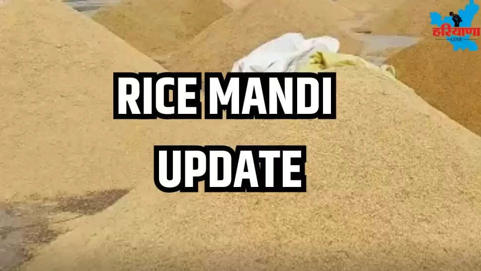 RICE MANDI