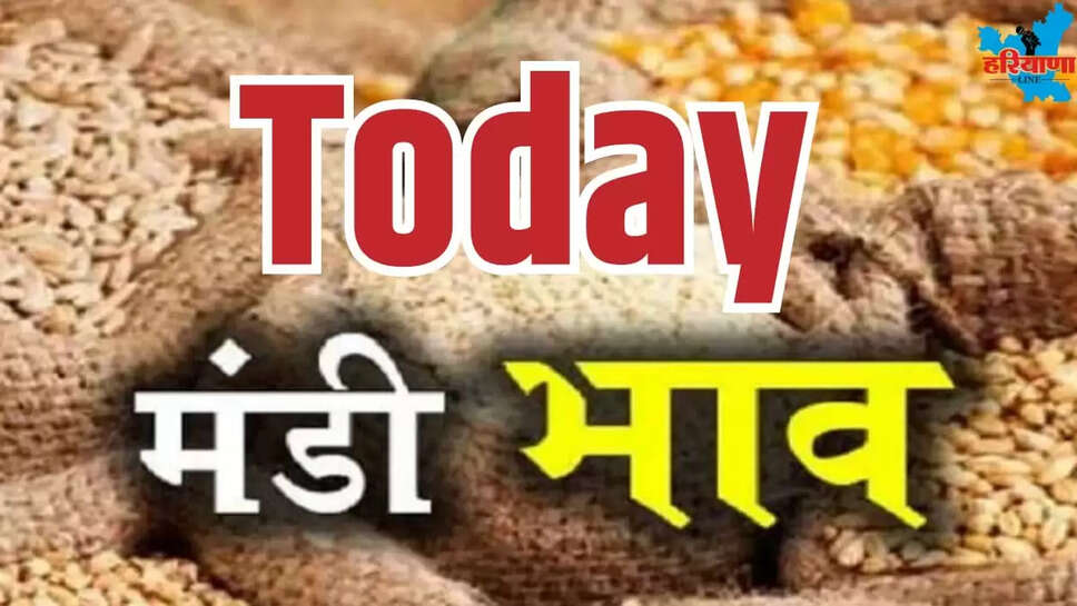 TODAY LETEST MANDI BHAV