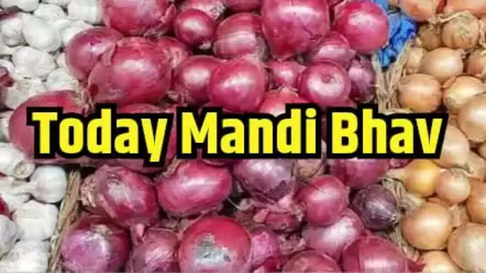 TODAY MANDI BHAV
