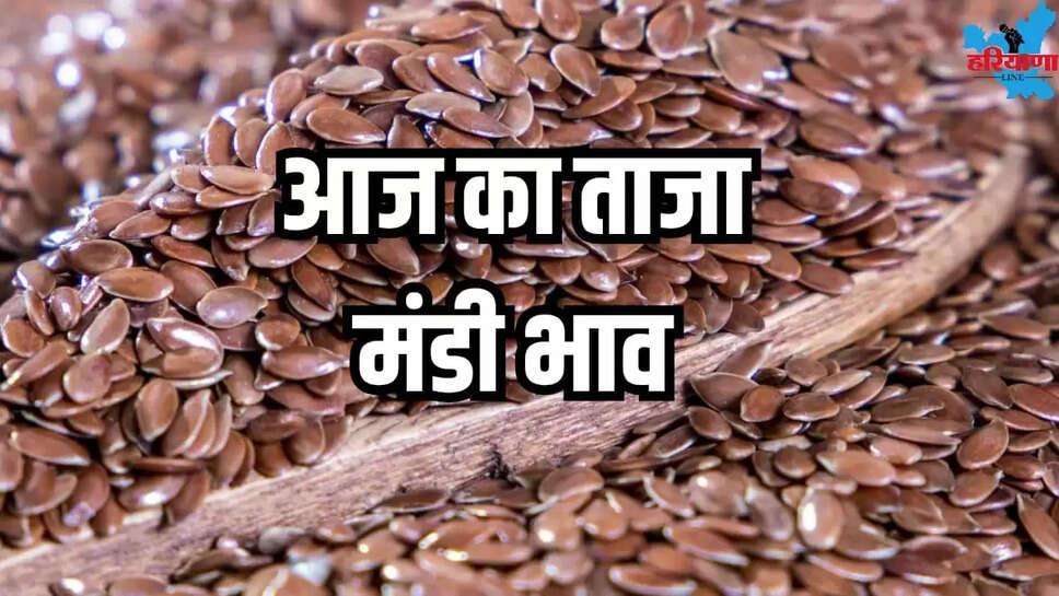 Linseed sold for Rs 5000 to Rs 9050 in Neemuch see today price