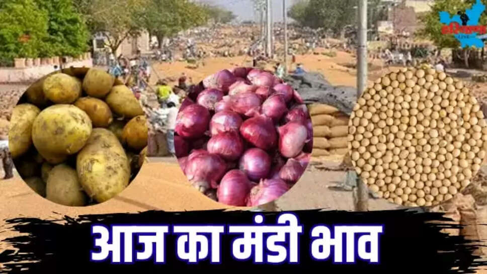 TODAY MANDI BHAV SOYBEAN RATE