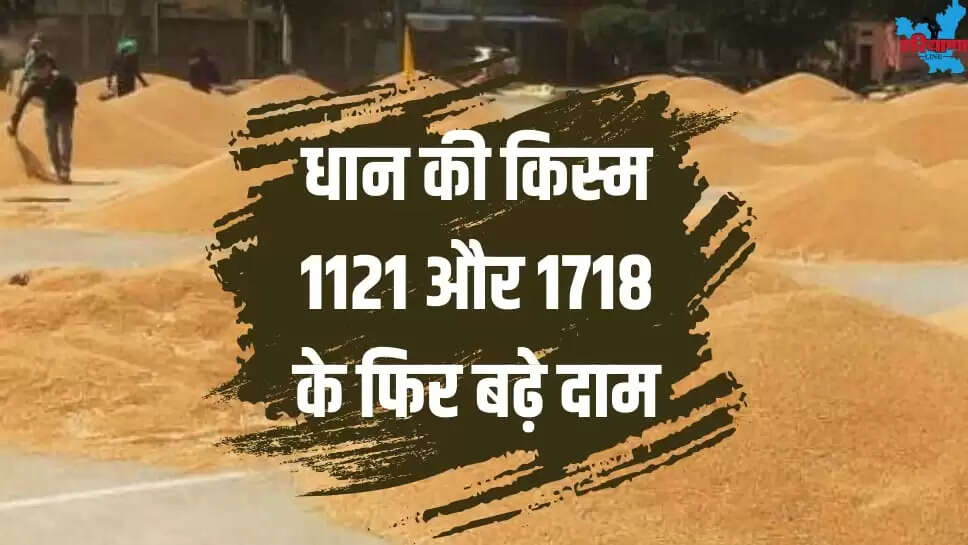 Prices of rice varieties 1121 1718 increased again