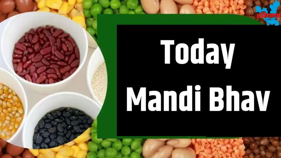 TODAY MANDI BHAV