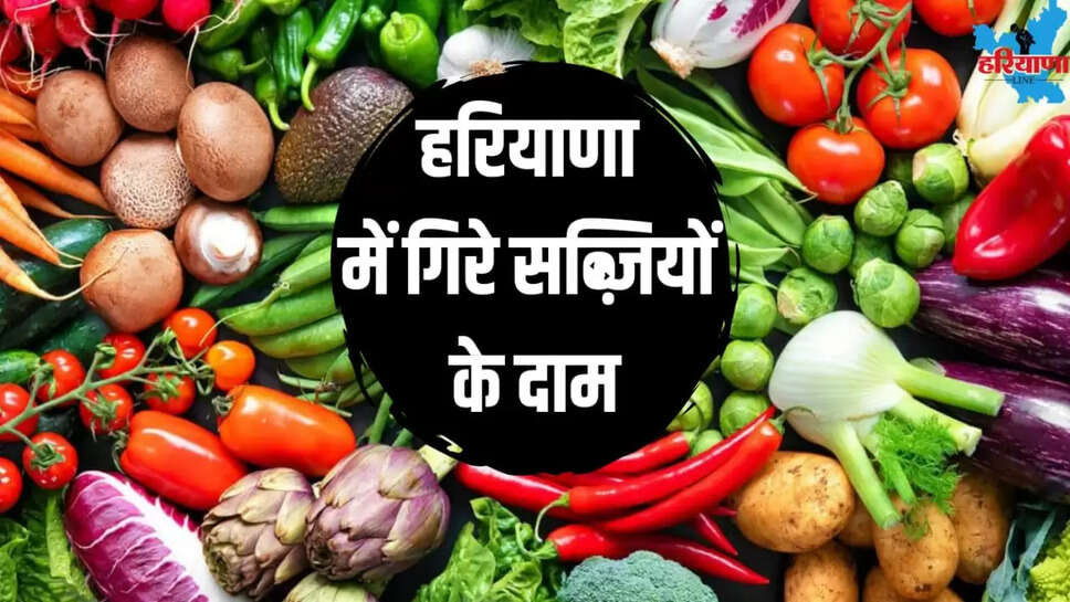 TODAY VEGETABLE PRICE