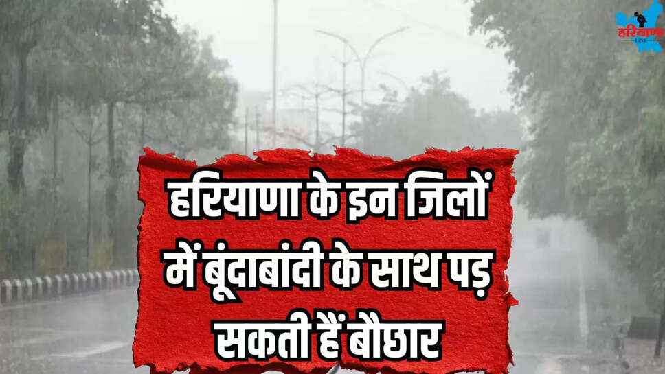 These districts Haryana light rain and showers today