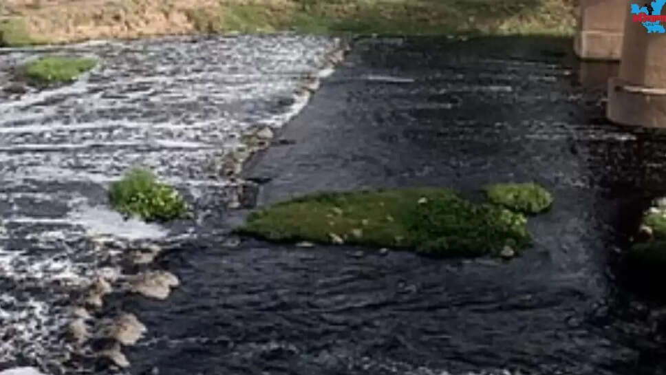 The Ghaggar River is damaging health
