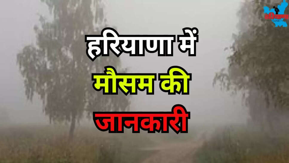 HARYANA WEATHER