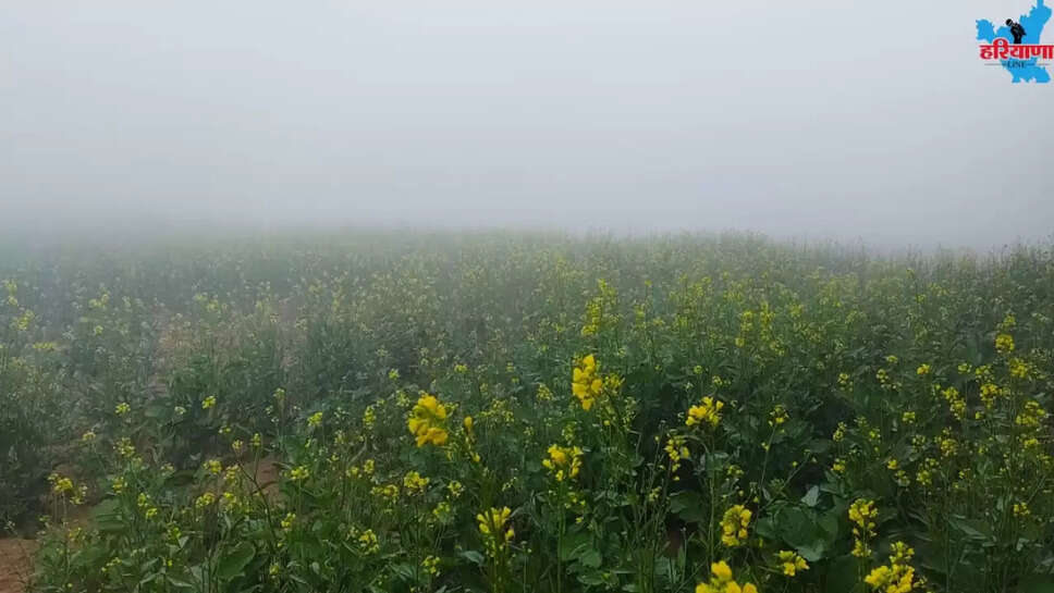 Weather update Sirsa