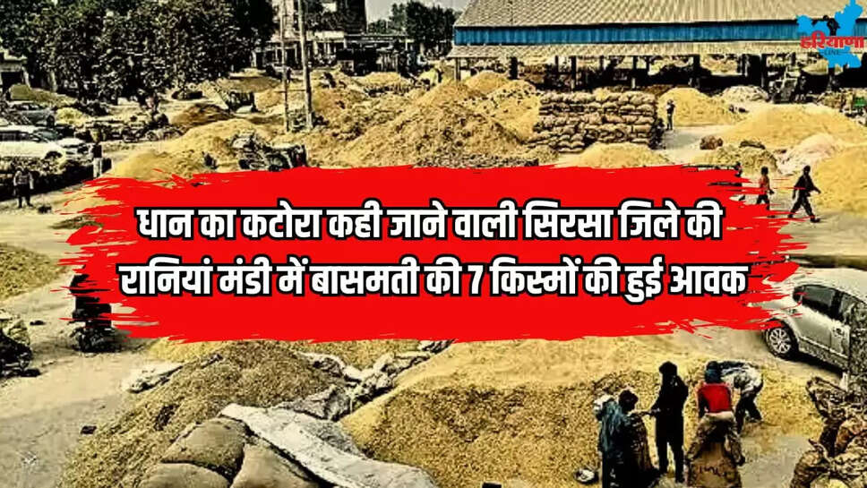 Seven varieties of Basmati have arrived in Rania Mandi