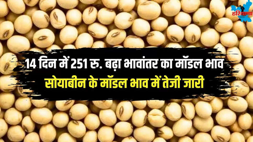 Soybean Bhavantar Scheme