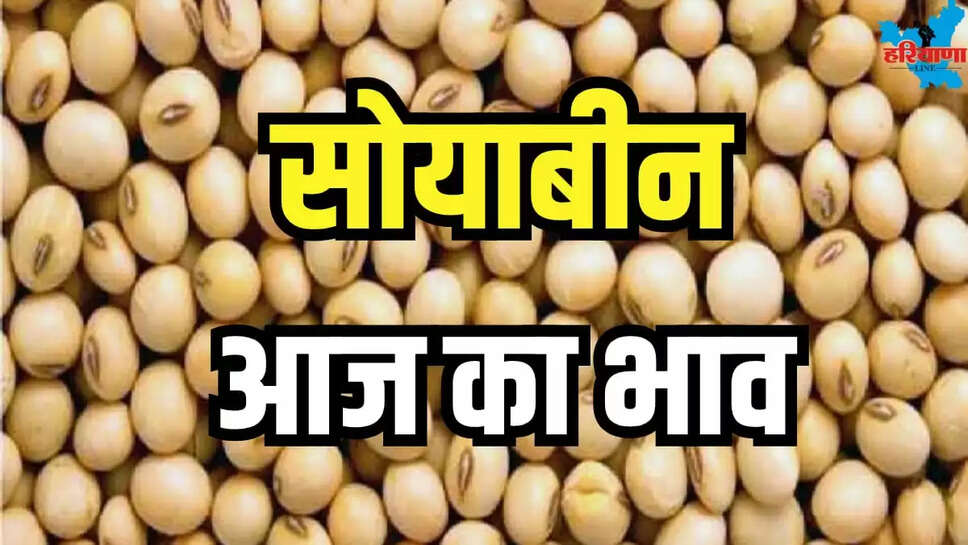 SOYBEAN RATE UPDATE TODAY