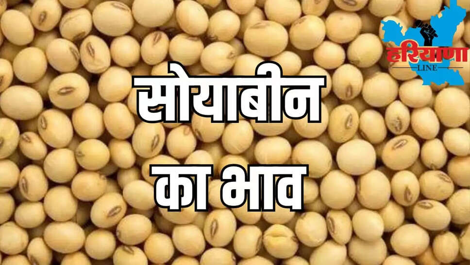 Soybean prices hike 164 rs in a week due to price conversion