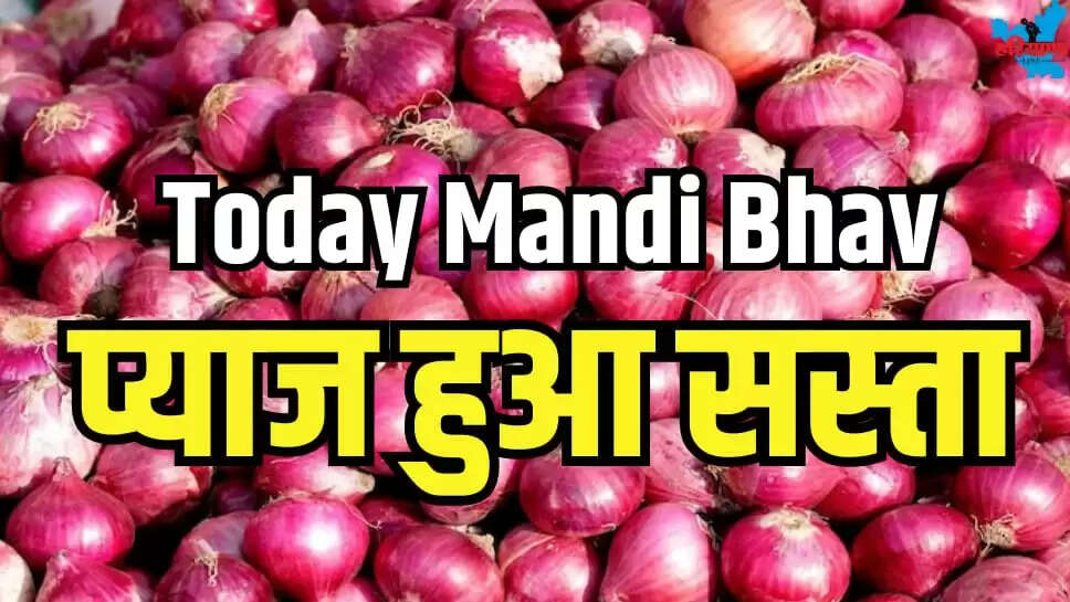 TODAY MANDI BHAV UPDATE