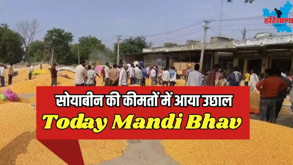 TODAY MANDI BHAV