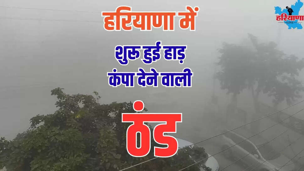 WINTER UPDATE HARYANA