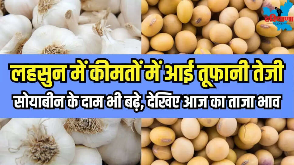 Garlic and soybean prices increased see today mandi bhav