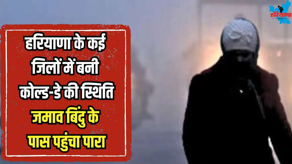 haryana weather report