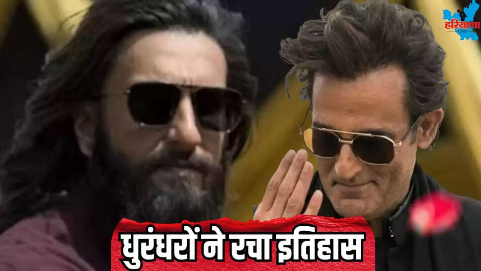 DHURANDHAR MOVIE BOX OFFICE COLLECTION